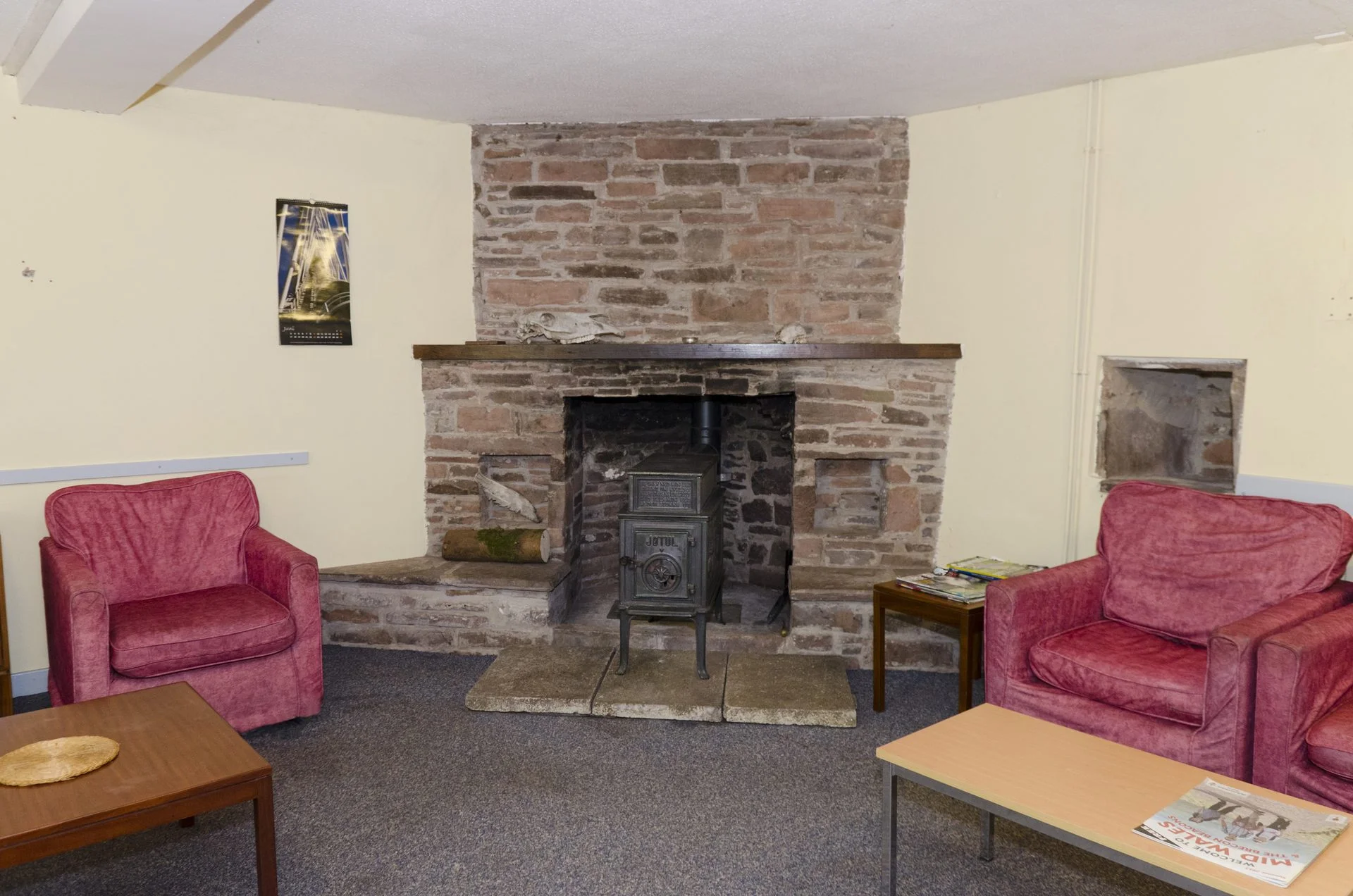 Cozy Wood-burning Stove